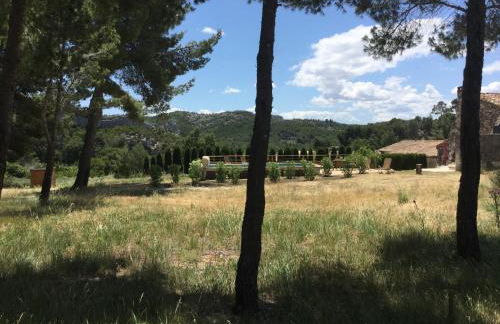 typical provencal farm in an exceptional natural site, the alpilles park - 8 people. - Foto 26