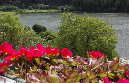 Appartamento Dossalt Vista Lago - Foto 21