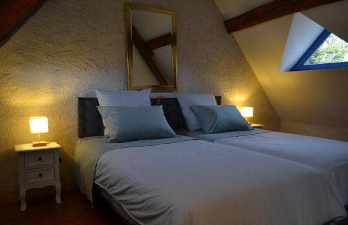 Gîte de charme proche du Zoo Beauval et Châteaux - Photo 20