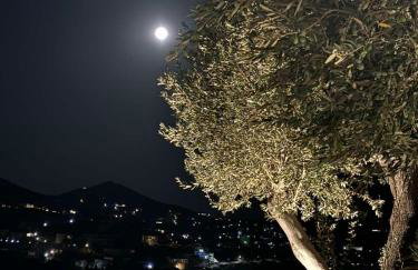 Petra Lodge - Photo 8