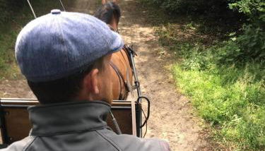 Landhof Kützin Ferienhaus 6 Specht - Foto 5