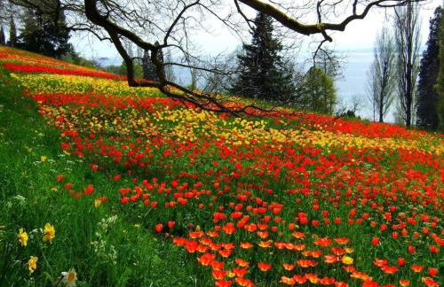 Holiday apartment with 1 bedroom - Foto 31