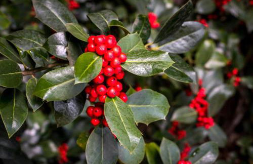 El Refugio de Aran Vielha Aparthotel - Foto 78