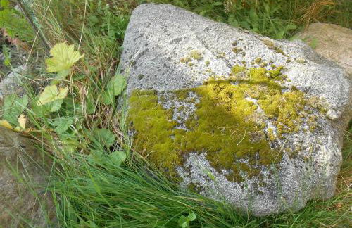 Ferienwohnung Villa Lütt - Foto 2