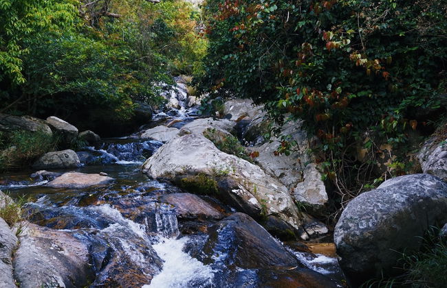 Du An Garden Retreat Forest - Photo 20