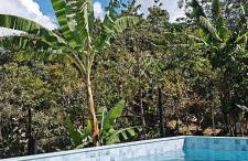 Bangalô Sol e Lua - ao lado da portaria do Parque Nacional - Foto 10