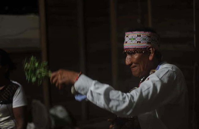 Cerimônia de ayahuasca em Puerto Inca - Foto 2