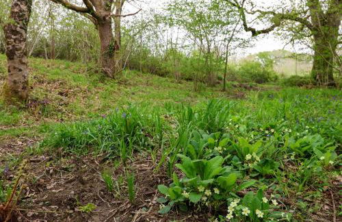 Oak Shepherd Hut - Photo 34