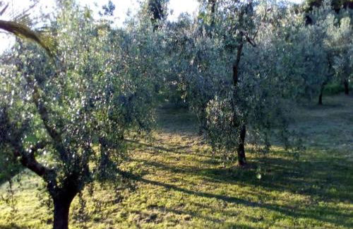 Holiday Home in Fano near Adriatic Sea - Foto 33