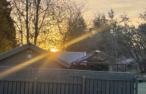 Daisy Cabin - Photo 37