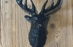 APPARTEMENT PLEIN SUD AUX SAISIES N°6 - Foto 10