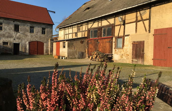 Hof Kiebitz - In Ostrau - Foto 1