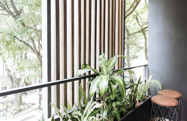 Soy Local Provenza - Foto 54