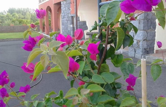 Il Sentiero degli Ulivi - Foto 44