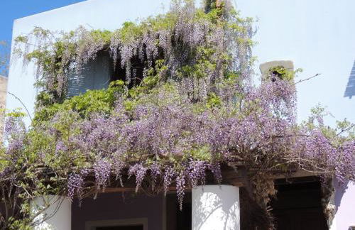 agriturismo u zu peppino - Foto 11