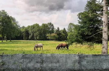 Maison familiale à Gerde - Foto 16