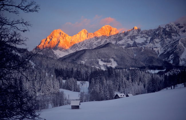 Meine Heimat - Foto 55