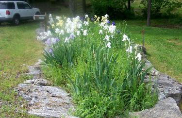 Hillbilly Chic Tiny House Near Nashville with WiFi, Kitchenette, Fire Pit & Trails - Foto 60