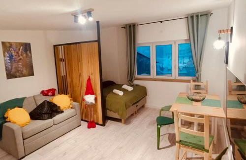 Studio z sauną - Foto 5