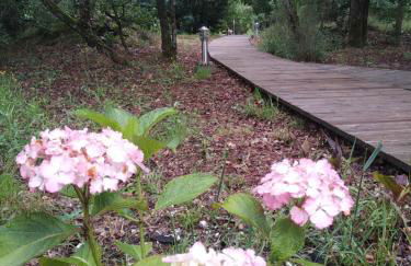 Les roulottes Vesta - Foto 9