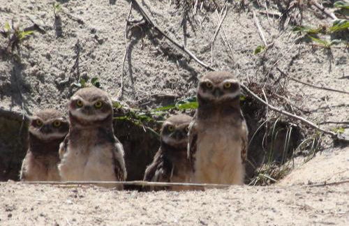 PRAIA DE 4 ILHAS Apartamento De 1 Quarto a 50M Praia Com Vista - Photo 38