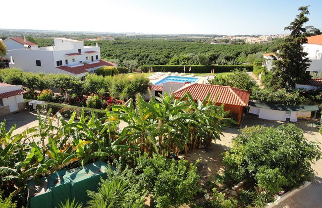 Flor da Laranja - Foto 1