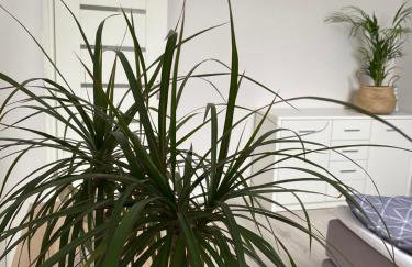 Lasy Jeziora, Cisza i Spokój, Grzybki i Rybki, Dom 180m2 w Swornegacie nad jeziorem Karsińskim - Foto 31