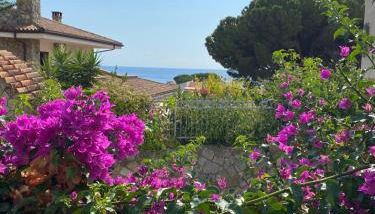 Villa Rosa - Photo 3, Garden