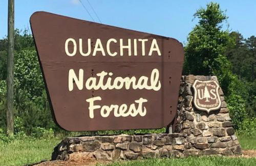 Bear Den on Lake Ouachita 2BR Condo at Mountain Harbor Resort - Foto 93