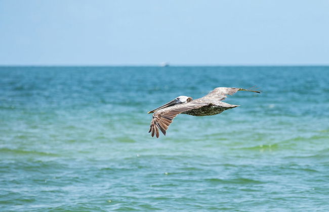 Messina Vacation Rental at Lely Resort. Spacious 3-BR, 2-Bath Condo with Lake Views and Handicap Accessibility. Enjoy Community Pool, Hot Tub, and Proximity to Naples Beaches and Dining - Foto 32