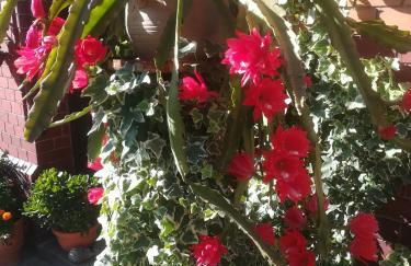 Ferienwohnung Hellriegel - Foto 22