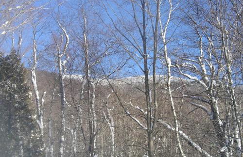 Meadow House Backcountry Residency - Foto 40