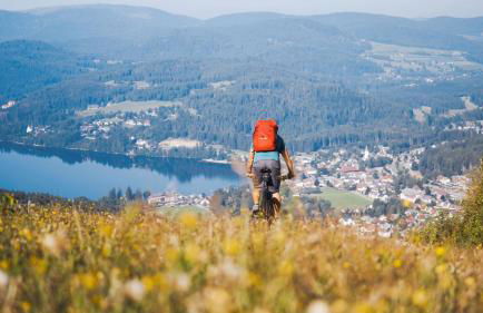 Appartements Waldrose - Foto 20