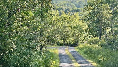 Perfect Vermont Battenkill Log Cabin - Photo 5