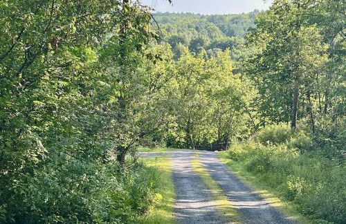Perfect Vermont Battenkill Log Cabin - Photo 5