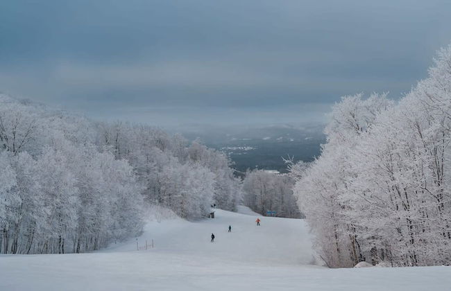 Condo With Magnificent View Citq 259781 - Foto 38