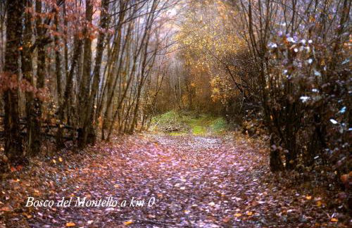 Ca' Viridi - Foto 29