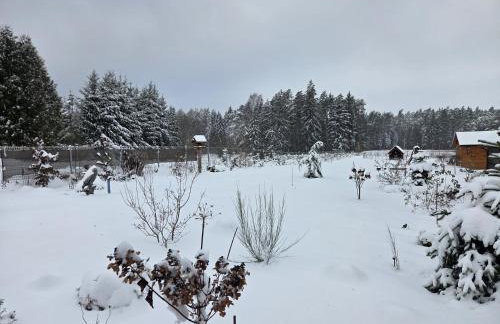 Agrosturystyka Leśna 21 - Foto 2