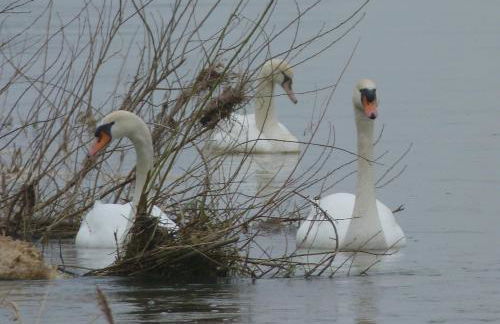 Les Gites De Colliers - Foto 13