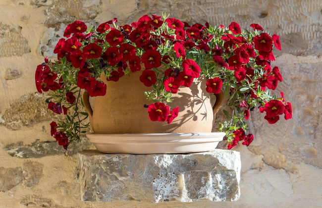 Villa Theta with private pool by Amara Living - Foto 33