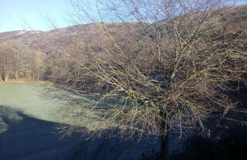 Elibank House Apartment - Foto 15