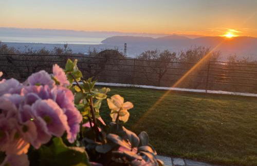 A CASA DI OLIVO - Foto 54