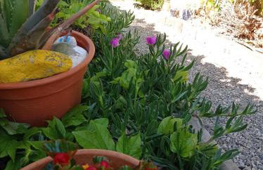 Casa de Antonio MURCHANTE - Foto 15