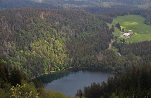 Ferienwohnung Schwarzwald - Foto 24