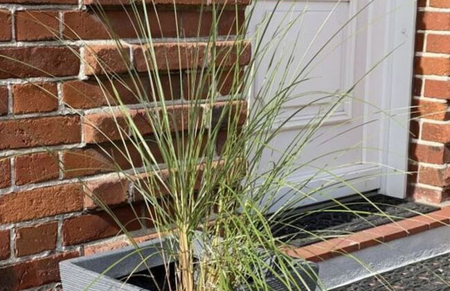 Sommerhus Fehmarn Comfortable Holiday Residence - Foto 25