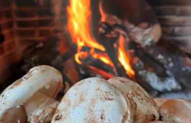 El Pico de Aroche - Foto 13