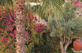 Villa Jolanda - Costa degli Dei - Foto 10