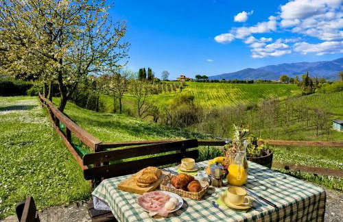 Agriturismo il Pino - Bioagricoltura - Foto 40