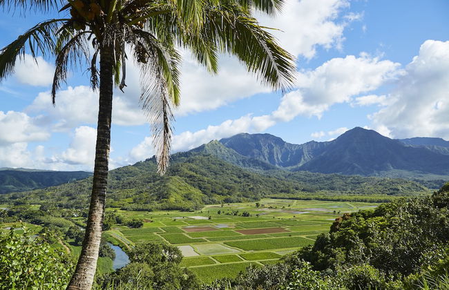 The Cliffs at Princeville - Foto 73