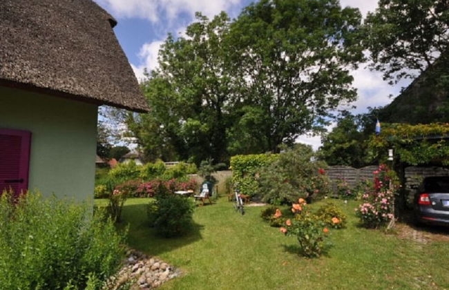 Red-throated Diver Modern Retreat - Foto 17